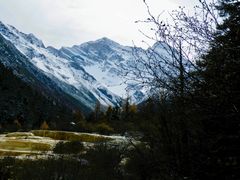 -黄龙山原始森林景区