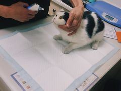 -爱诺耐芙动物医院(万博店)