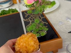 -丁老爷子苏香圆