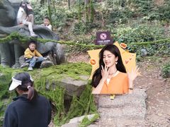 -石燕湖生态旅游景区