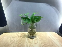 -素匠泰茶(三里屯SOHO工体奶茶店)