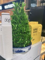 -倾城护肤造型