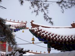-红山公园