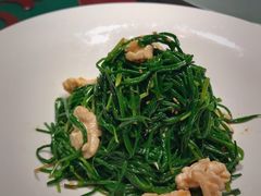 果仁爱沙葱-九十九顶毡房(阜石路店)