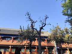 -北京石刻艺术博物馆(五塔寺)