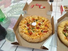 -达美乐比萨(国瑞北路店)