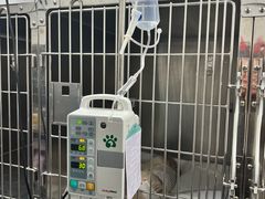 -瑞派天使宠物医院·神经外科·骨科·核磁(洛川中路店)