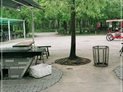 -上海海湾国家森林公园