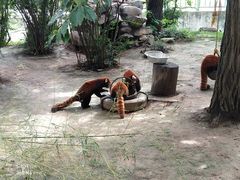 -西安秦岭野生动物园