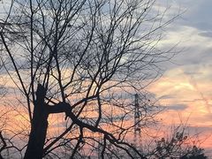 -麦当劳(长江西路得来速店)