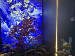 -青春足迹·概念店·小憩足疗SPA