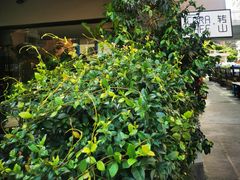 -转山咖啡(松柏社区店)