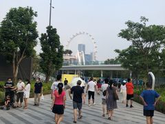 -宝安西湾红树林湿地公园