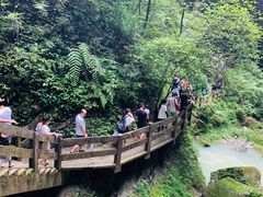 -龙水峡地缝景区