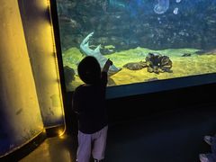 -烟台海昌鲸鲨海洋公园
