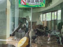 -南昌动物园