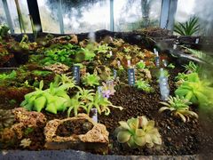 -国家植物园南园