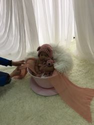 -星宝贝儿童摄影