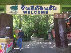 -绿光森林餐厅