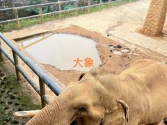-贵州森林野生动物园