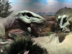 -国家自然博物馆