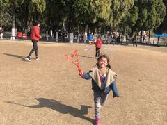 -瀛洲公园