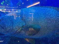 -成都浩海立方海洋公园