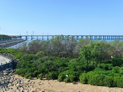 -宝安西湾红树林湿地公园