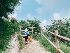 -大觉寺-停车场