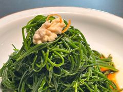 -蒙料·手把肉(望京店)