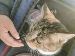 -北京观赏动物医院·24小时大型综合·猫专科·异宠专科