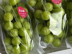 -马陆小张葡萄园农家乐