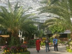 -北京植物园-展览温室