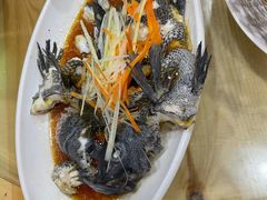-坛南湾阿强农家乐.海鲜大排档老字号(福州地标美食店)