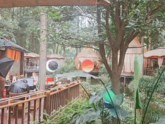 -二荆条·蜀鲜汇城市森林火锅