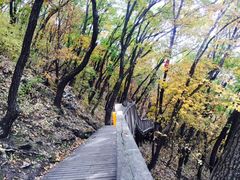 -帽儿山国家森林公园