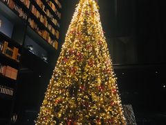 -当米亚诺意大利餐厅(武汉光谷凯悦酒店)