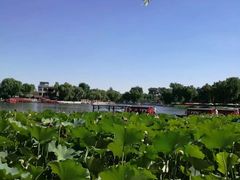 -小王府(什刹海店)