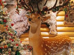 -卢布里西餐厅(总店)