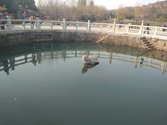 -白马涧龙池景区
