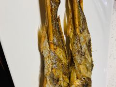 -九府羊·鲜羊火锅·烤串(新华路店)