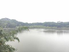 -东莞植物园