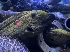 -成都浩海立方海洋公园