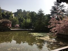 -富乐山