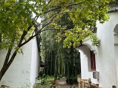 -上海醉白池公园