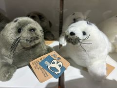-重庆欢乐海底世界
