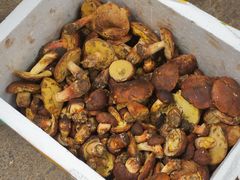 -草墩罗非鱼庄•野生菌•腊排骨(七星街上段店)