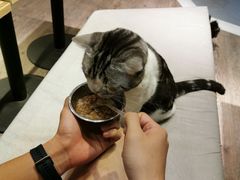 -小时光咖啡馆(开森度假森林店)