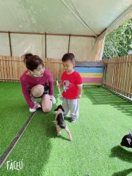 -萌宠亲子动物乐园(槐房万达店)