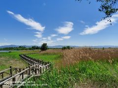 -野鸭湖国家湿地公园
